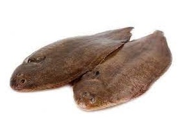 [Plats] Poisson sole